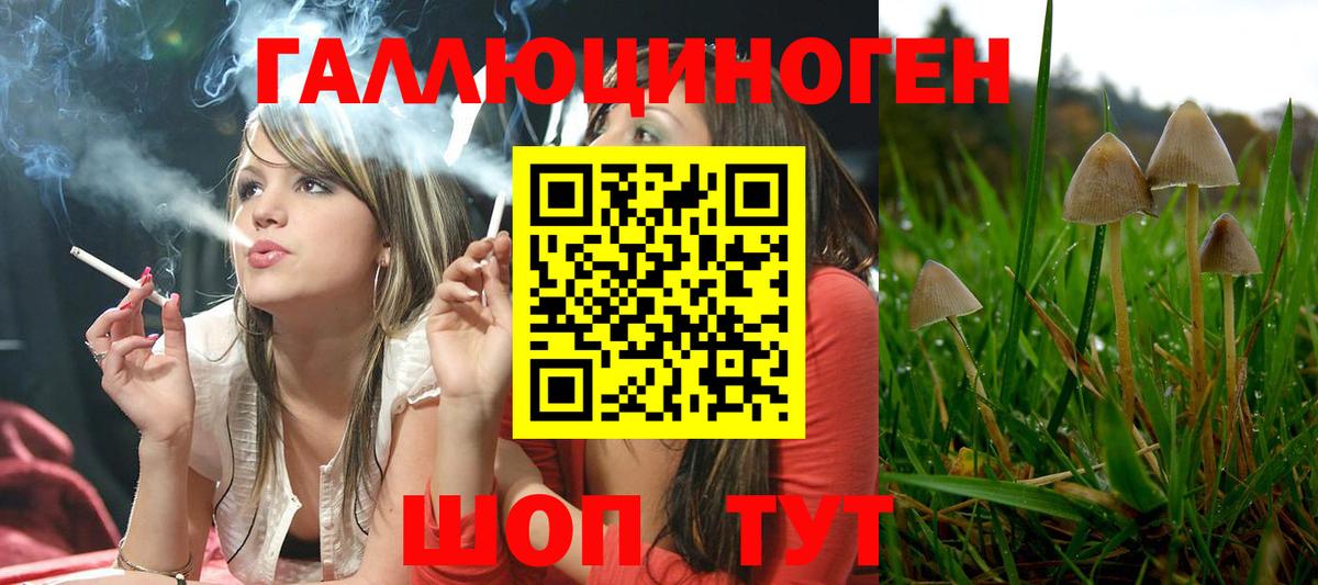 Ангарск  Псилоцибиновые грибы Cubensis  Вход с VPN 